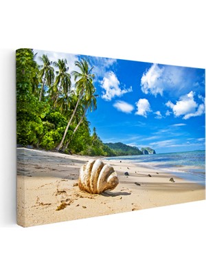Kanvas Tablo Kumsalda Büyük Deniz Kabuğu Manzara Tablosu Ev Ofis Duvar Dekoru