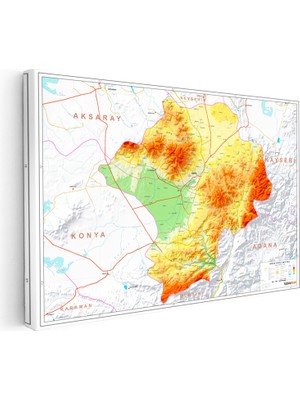 Kanvas Tablo Niğde Coğrafi Yapı Harita Tablosu Ev Ofis Duvar Dekoru