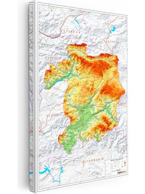 Kanvas Tablo Bingöl Dağ ve Ova Yükseltisi Harita Tablosu Ev Ofis Duvar Dekoru