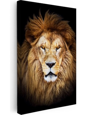 Kanvas Tablo Simetrik Yüz Hatlı Aslan Tablosu Ev Ofis Duvar Dekoru