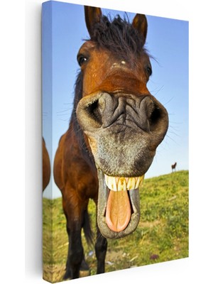 Kanvas Tablo Balık Gözü Efektli At Tablosu Ev Ofis Duvar Dekoru