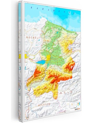 Kanvas Tablo Sakarya Topografik Yüzey Şekilleri Harita Tablosu Ev Ofis Duvar Dekoru