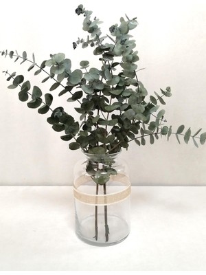 Kuru Çiçek Deposu Şoklanmış Yeşil Okaliptus Demeti 50 cm Uzunlukta Gerçekçi Görünüm