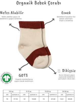 NW NessiWorld 3'lü Penye Rainbow Soket Çorap BS10113 Kiremit