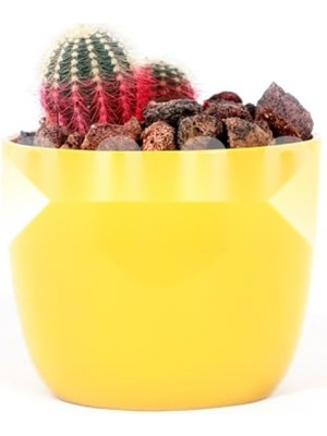 MarkEntegra Doğal Kırmızı Pomza Taşı - 2-3 cm Volkanik Cürüf