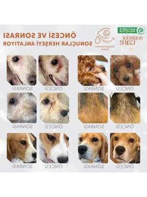 MarkEntegra Tahılsız Kuzu Etli Küçük Irk Köpek Maması, 1,5 kg