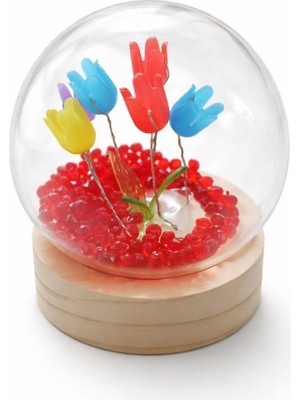 Mg LED Işıklı Lale Cam Küre