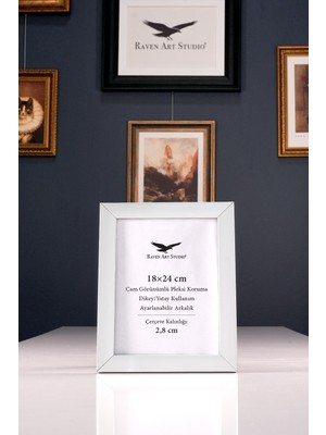 Raven Art Studio Potala 18X24 cm Gümüş Altın Resim Fotoğraf Belge Poster Evrak Çerçevesi Korumalı Kırılmaz Pleksi Cam