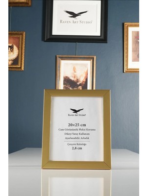Raven Art Studio Potala 20X25 cm Altın Resim Fotoğraf Belge Poster Evrak Çerçevesi Korumalı Kırılmaz Pleksi Cam