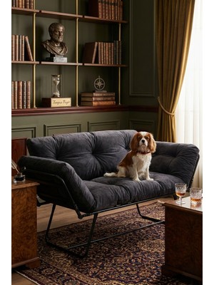 AVYNA Mekanizmalı Yataklı Kanepe | Kolları Açılan Premium Ikili Koltuk | Modern Tasarım | Sırt Destekli ve Ergonomik | Füme