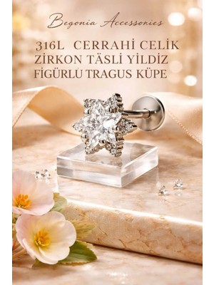 Begonia Accessories 316L Cerrahi Çelik Paslanmaz Kararmaz Alerji Yapmaz Zirkon Taşlı Figürlü Unisex Tragus Küpe Piercing