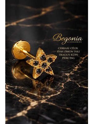 Begonia Accessories 316L Cerrahi Çelik Altın Kaplama Kararmaz Alerji Yapmaz Zirkon Taş Figür Unisex Tragus Küpe Piercing