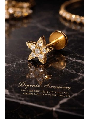 Begonia Accessories 316L Cerrahi Çelik Altın Kaplama Kararmaz Alerji Yapmaz Zirkon Taş Figür Unisex Tragus Küpe Piercing