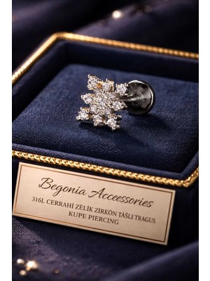 Begonia Accessories 316L Cerrahi Çelik Paslanmaz Kararmaz Alerji Yapmaz Zirkon Taşlı Figürlü Unisex Tragus Küpe Piercing