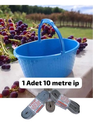 Çok Amaçlı Plastik Taşıma Sepeti, Meyve ve Balkon Kullanımı, 40X30X19 cm