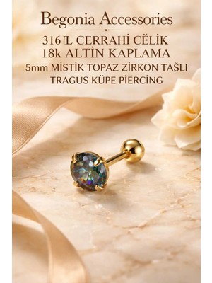 Begonia Accessories 316L Cerrahi Çelik Altın Kaplama Kararmaz Alerji Yapmaz Zirkon Taş Figür Unisex Tragus Küpe Piercing
