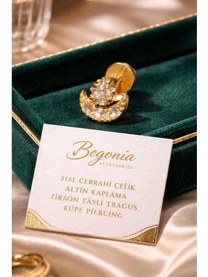 Begonia Accessories 316L Cerrahi Çelik Altın Kaplama Kararmaz Alerji Yapmaz Zirkon Taş Figür Unisex Tragus Küpe Piercing
