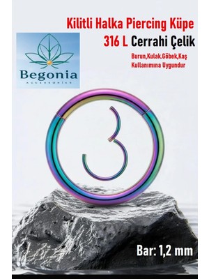 Begonia Accessories Antialerjik 316L Cerrahi Çelik Paslanmaz Kararmaz Kilitli Halka Kıkırdak Tragus Helix Piercing 1ADET