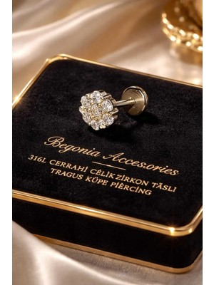 Begonia Accessories 316L Cerrahi Çelik Paslanmaz Kararmaz Alerji Yapmaz Zirkon Taşlı Figürlü Unisex Tragus Küpe Piercing