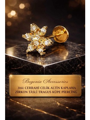 Begonia Accessories 316L Cerrahi Çelik Altın Kaplama Kararmaz Alerji Yapmaz Zirkon Taş Figür Unisex Tragus Küpe Piercing