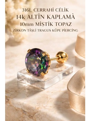 Begonia Accessories 316L Cerrahi Çelik Altın Kaplama Kararmaz Alerji Yapmaz Zirkon Taş Figür Unisex Tragus Küpe Piercing