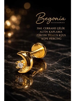 Begonia Accessories 316L Cerrahi Çelik Altın Kaplama Kararmaz Alerji Yapmaz Zirkon Taş Figür Unisex Tragus Küpe Piercing