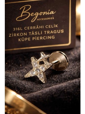 Begonia Accessories 316L Cerrahi Çelik Paslanmaz Kararmaz Alerji Yapmaz Zirkon Taşlı Figürlü Unisex Tragus Küpe Piercing