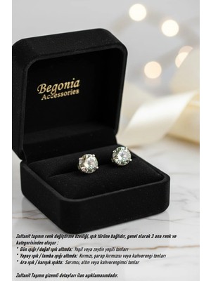 Begonia Accessories 925 Ayar Gümüş; Renk Değiştiren Oval Kesil Zultanit Tek Taş Unısex 1 Çift Küpe