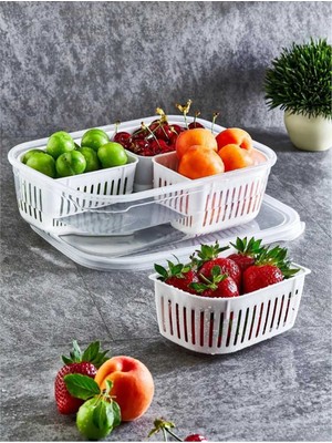 Dört Bölmeli Plastik Saklama Kabı, Pratik ve Şık Depolama Çözümü