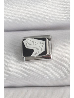 Rivera Tech Rvrstr4 316L Çelik Gümüş Renk Siyah Beyaz Kuş Işlemeli Nomination Charm - TJ-BC1389