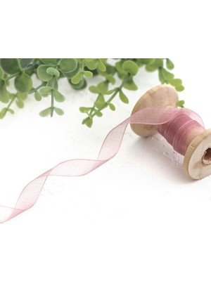 Royal Rain Store Organze Kurdele, 20 Metre Pudra