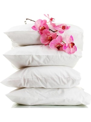 Royal Rain Store SILK%100 Saf Ipek Dolgulu Yastık (50 cm * 70 Cm) 1 Adet