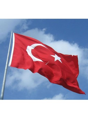 Royal Rain Store Sanat Türk Bayrağı 30X45 cm 10'lu Paket