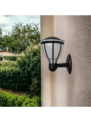 Royal Rain Store Zita Kupa Bahçe Duvar Aplik Aydınlatma E27 Duy Siyah / 231