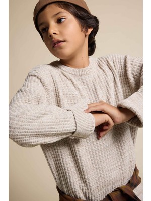 DeFacto Bisiklet Yaka Triko Kazak Erkek Çocuk C9468A825AU