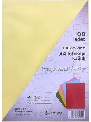 Royal Rain Store A4 Renkli Fotokopi Kağıdı, Red, 250 Yaprak