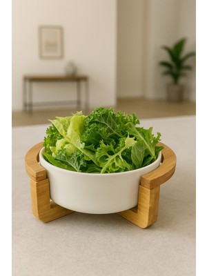 Bambu Standlı Porselen Salata ve Mutfak Tabağı, 12CM, Şık ve Kullanışlı