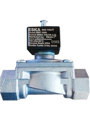 ESKA Doğalgaz Gaz Valfi 1 Inç Selonoid Vana