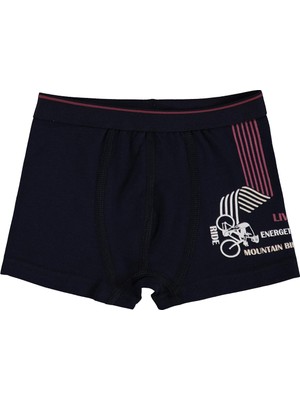 Civil Boys Bike 2-10 Yaş Erkek Çocuk 2'li Boxer - Standart 10-11 Yaş