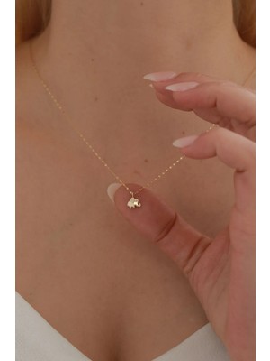 Yavuz Kuyumculuk 14 Ayar Altın Aynalı Zincir Fil Kolye