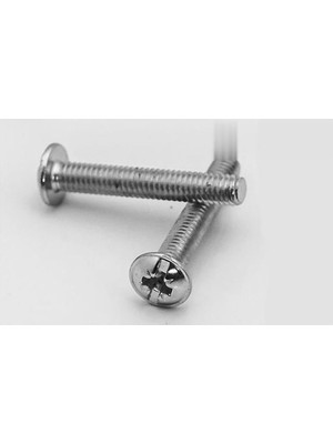 AyrStore Yuvarlak Yıldız Başlı Rysb Kulp Vidası, Civata M4X22 - 500 Adet