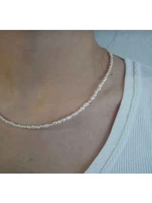 Taşmir 925 Ayar Gümüş Sertifikalı 3-4 mm Gerçek Doğal Tatlı Su Arpa Incisi Kolye