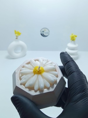 Deniz Kuzey Design Özel Tasarım Papatya Figürlü Karamel Latte Kokulu Mum - Minimalist Taş Tozu Saksı