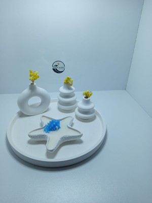 Deniz Kuzey Design Karamel Kokulu Deniz Yıldızı Mum - Taş Tozu Saksılı Hediyelik Dekoratif 5' Li Set