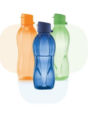 Portakal, Yaprak Yeşili ve Kutup Gecesi Renkli 3'lü Suluk Seti