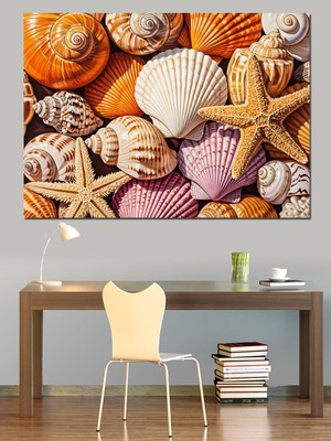 Artmeg Deniz Kabukları ve Yıldızlar Topluluğu Dekoratif Kanvas - Mdf Ahşap Tablo