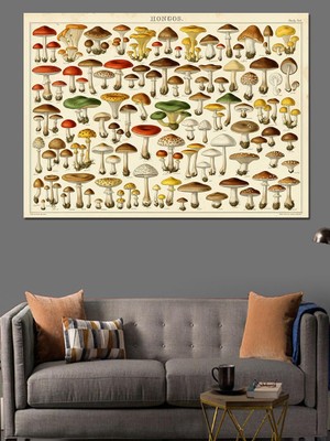 Artmeg Botanik Mantar Çeşitleri Eğitim Tablosu Dekoratif Kanvas - Mdf Ahşap Tablo