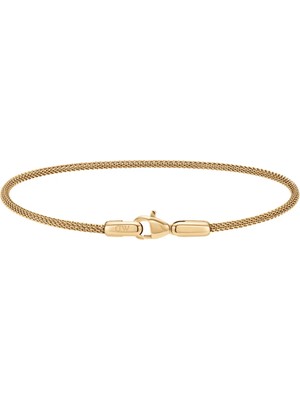 Daniel Wellington Tide Mesh Bracelet Evergold 1.8