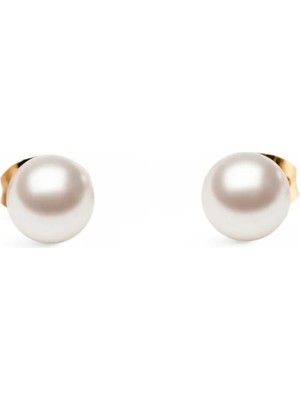 Daniel Wellington Pearl Stud Earring Rose Gold