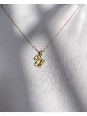 Onseva Kuyumculuk 14 Ayar Altın  Zirkon Taşlı Sincap Kolye